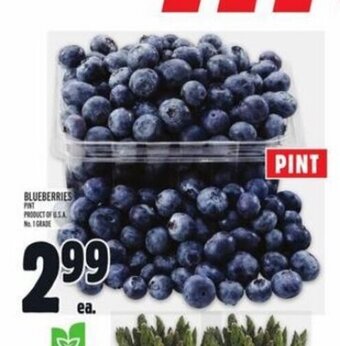 Metro BLUEBERRIES offer