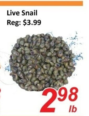 Fresh Win Foodmart Live snail offer
