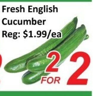 Fresh english cucumber