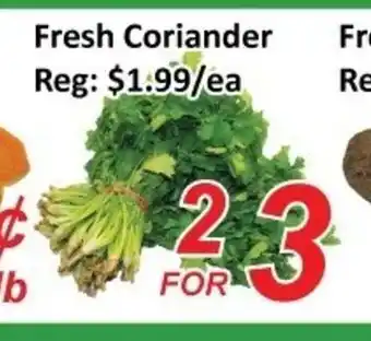 Fresh Win Foodmart Fresh coriander offer