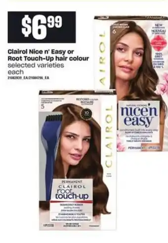 Loblaws Clairol Nice n' Easy or Root Touch-Up Hair Colour offer