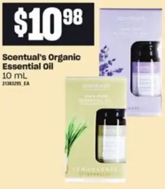 Loblaws Scentual's Organic Essential Oil offer