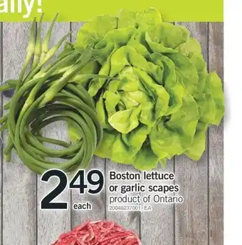 Fortinos Boston Lettuce or Garlic Scapes offer