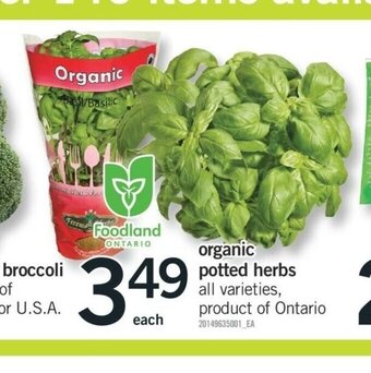 Fortinos Organic Potted Herbs offer