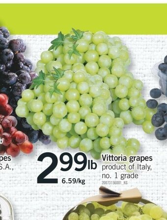 Fortinos Vittoria Grapes offer