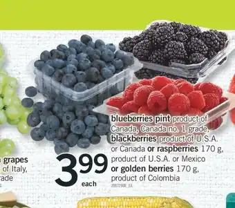 Fortinos Blue Berries Pint or Raspberries offer