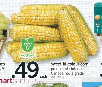 Fortinos Sweet Bi-Colour Corn offer