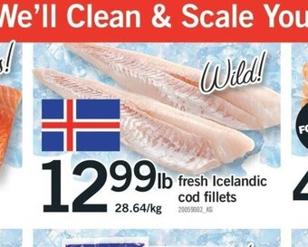 Fortinos Fresh Icelandic Cod Fillets offer