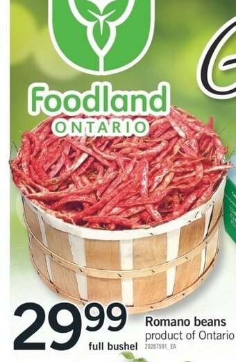 Fortinos Romano Beans offer