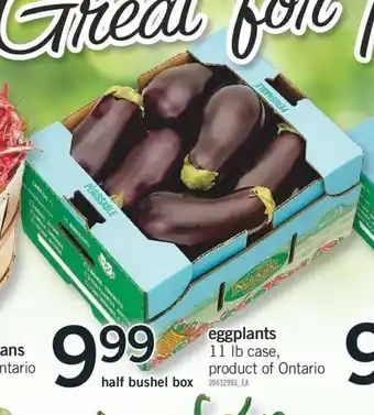 Fortinos Eggplants offer