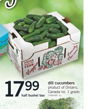 Fortinos Dill Cucumbers offer