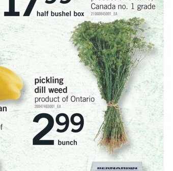 Fortinos Pickling Dill Weed offer