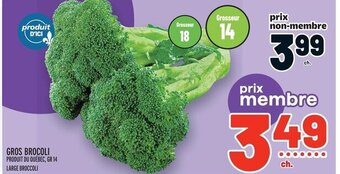 Metro GROS BROCOLI offer