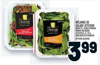 Metro MÉLANGE DE SALADE ATTITUDE offer