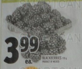 Metro BLACKBERRIES offer