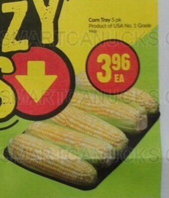 FreshCo Corn Tray offer