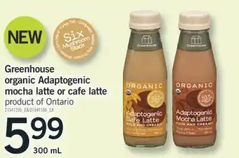 Fortinos Greenhouse organic adaptogenic mocha latte or cafe latte, 300 ml offer