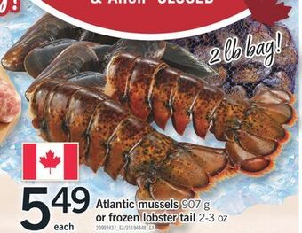 Fortinos Atlantic mussels 907 g or frozen lobster tail 2 - 3 oz offer