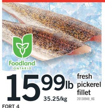 Fortinos Fresh pickerel fillet offer
