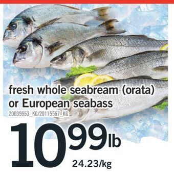 Fortinos Fresh whole seabream (orata) or european seabass offer