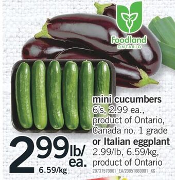 Fortinos Mini cucumbers, 6's offer