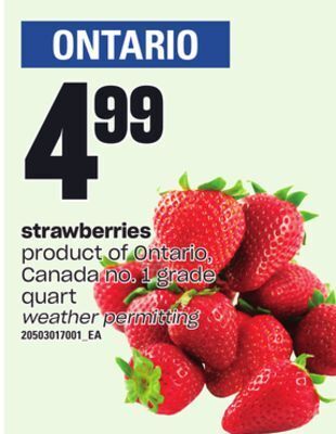 Loblaws Strawberries, quart offer