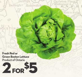 Longo's Fresh red or green boston lettuce offer