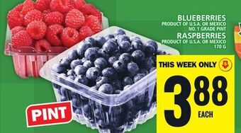 Food Basics Blueberries or raspberries offer