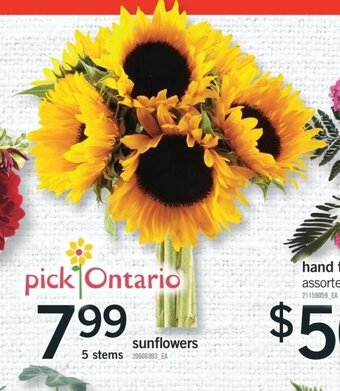 Fortinos Sunflowers offer