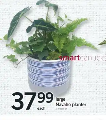Fortinos Large navaho planter offer