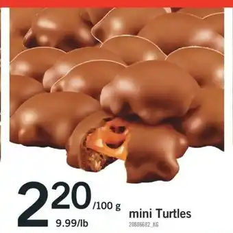 Fortinos Mini turtles offer