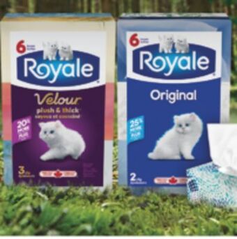 Real Canadian Superstore Royale facial tissue, 6x88/126 sheets offer