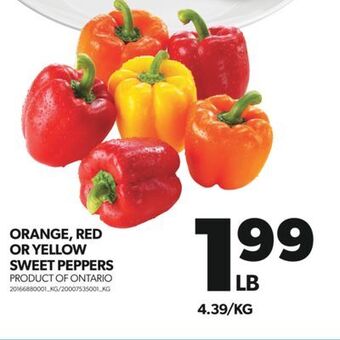 Real Canadian Superstore Orange, red or yellow sweet peppers offer