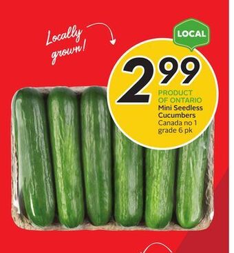 Sobeys Mini seedless cucumbers offer