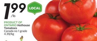 Sobeys Hothouse tomatoes offer