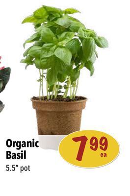 Farm Boy Organic basil offer