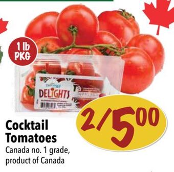 Farm Boy Cocktail tomatoes offer