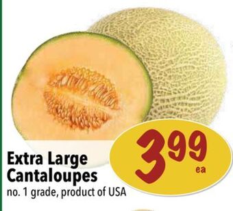 Farm Boy Extra large cantaloupes offer