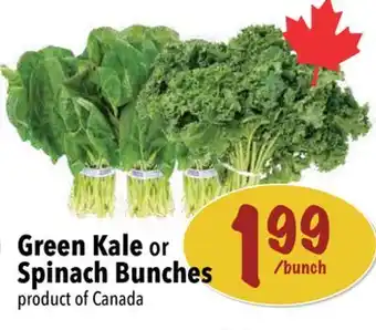 Farm Boy Green kale or spinach bunches offer