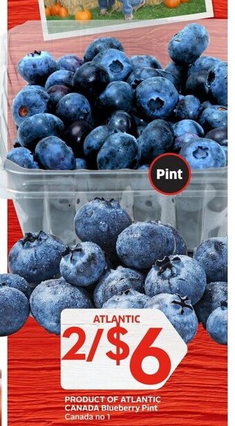 Foodland Blueberry pint canada no 1 offer