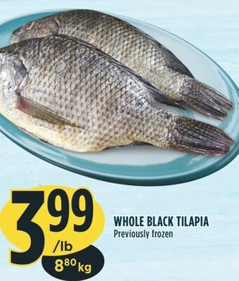 Marché Adonis Whole black tilapia offer