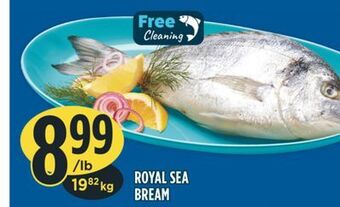 Marché Adonis Royal sea bream offer