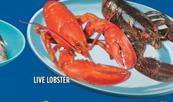 Marché Adonis Live lobster offer