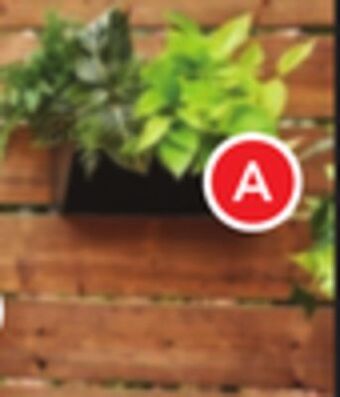 RONA 15 planters offer