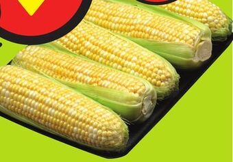 FreshCo Corn tray 5 pk product of usa no. 1 grade offer