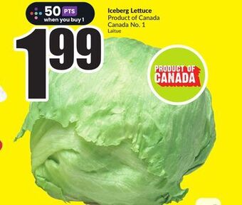 FreshCo Iceberg lettuce product of canada canada no. 1 offer