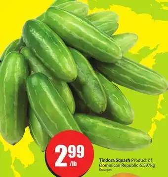 FreshCo Tindora squash product of dominican republic 6.59/kg offer