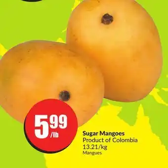 FreshCo Sugar mangoes product of colombia 13.21/kg offer