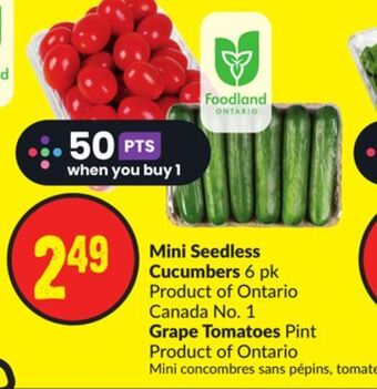Chalo FreshCo Mini seedless cucumbers 6 pk product of ontario canada no. 1 grape tomatoes pint product of ontario offer