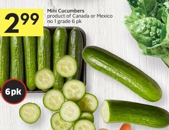 Foodland Mini cucumbers offer
